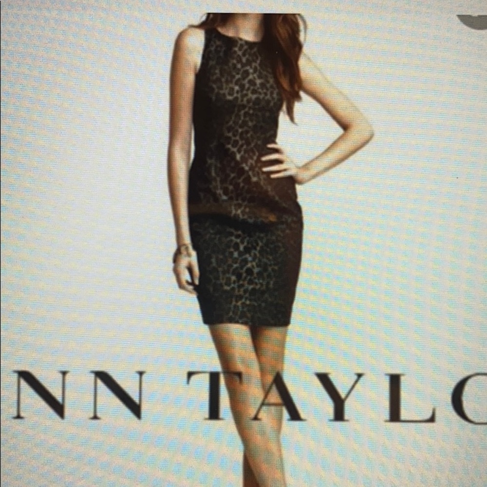 Ann Taylor Leopard Print Sheath Dress